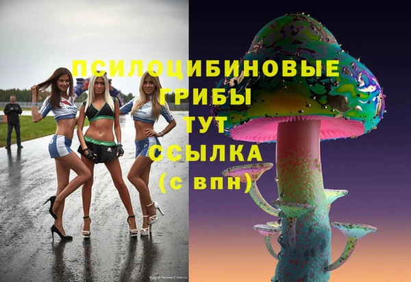 мяу мяу мука Вяземский