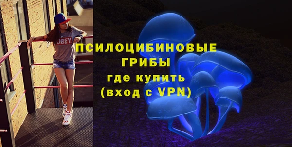 мяу мяу мука Вяземский