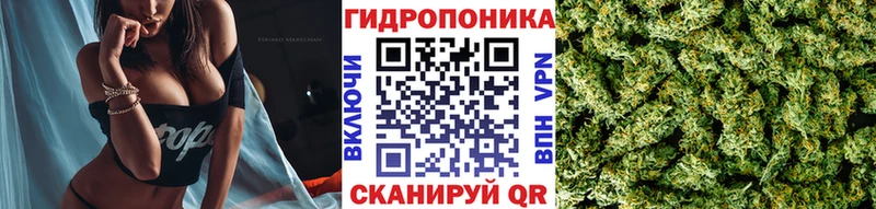 Конопля Bruce Banner Куровское